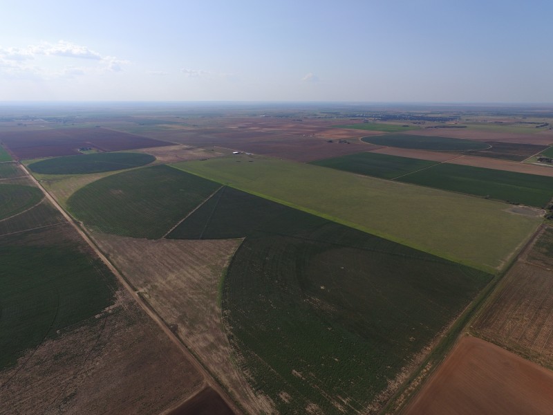 Field-3-wpcf_800x600